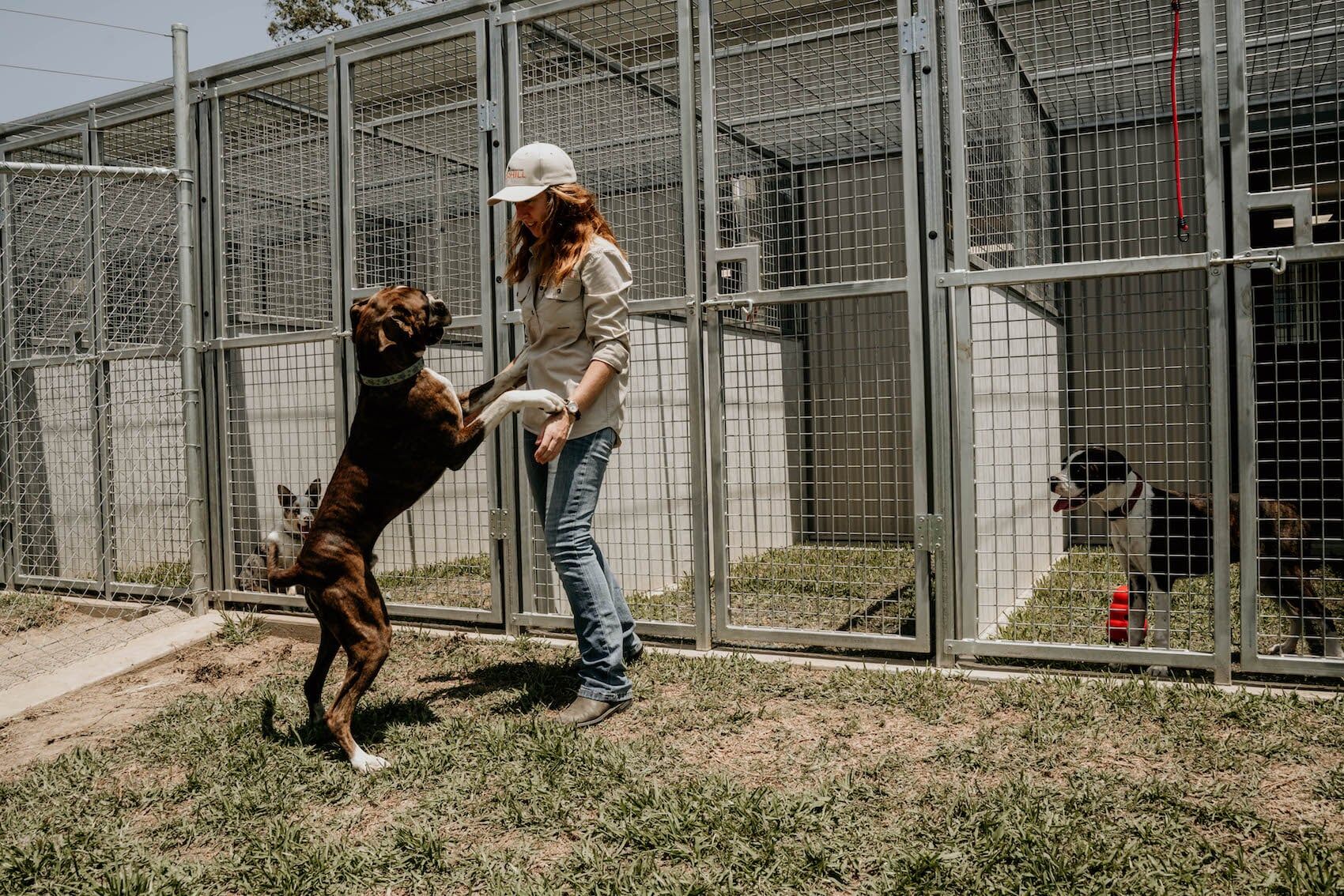 Gallery Furhill Pet Boarding