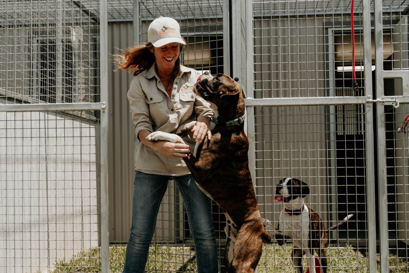 Dog Boarding 6 — Furhill Pet Boarding in East Kempsey, NSW