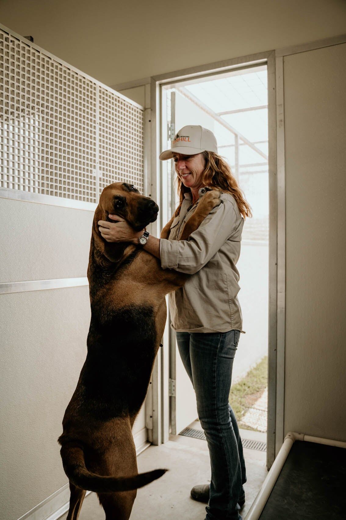 Dog Boarding 3 — Furhill Pet Boarding in East Kempsey, NSW