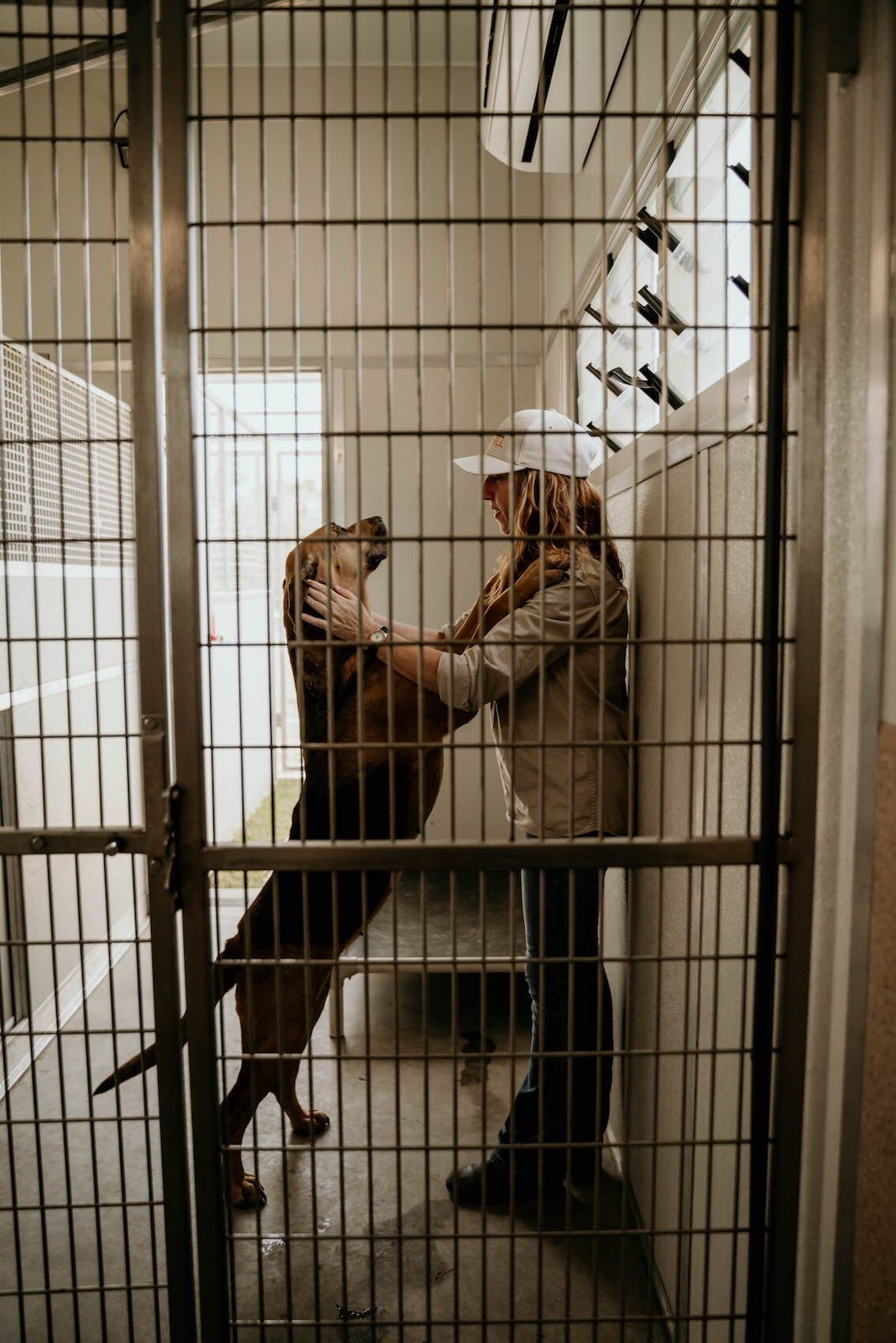 Dog Boarding 2 — Furhill Pet Boarding in East Kempsey, NSW