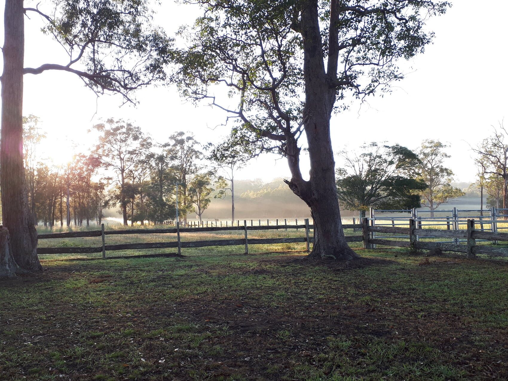 Yards 3 — Furhill Pet Boarding in East Kempsey, NSW