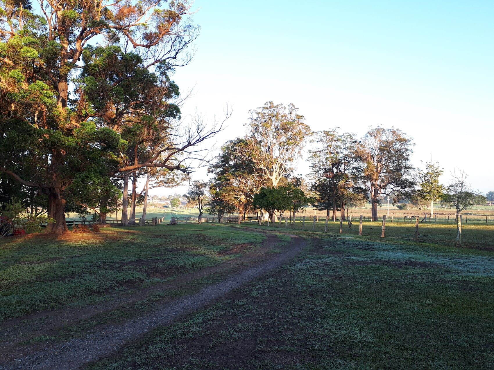 Yards 2 — Furhill Pet Boarding in East Kempsey, NSW