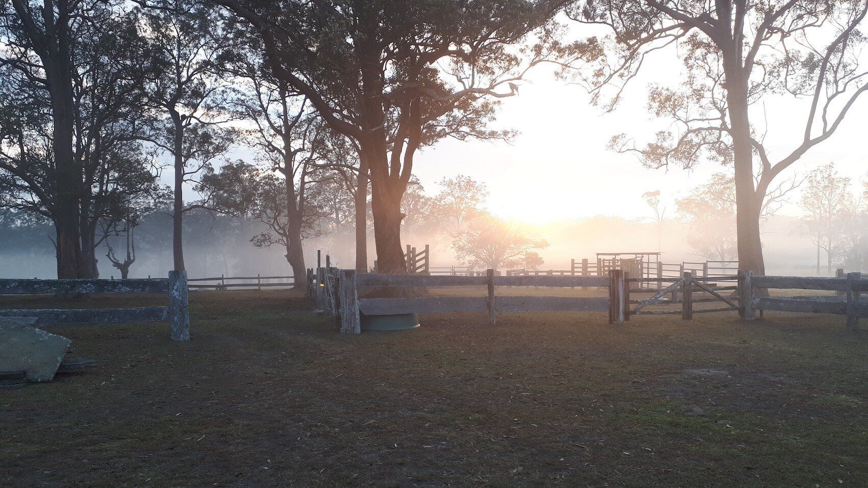 Yards — Furhill Pet Boarding in East Kempsey, NSW