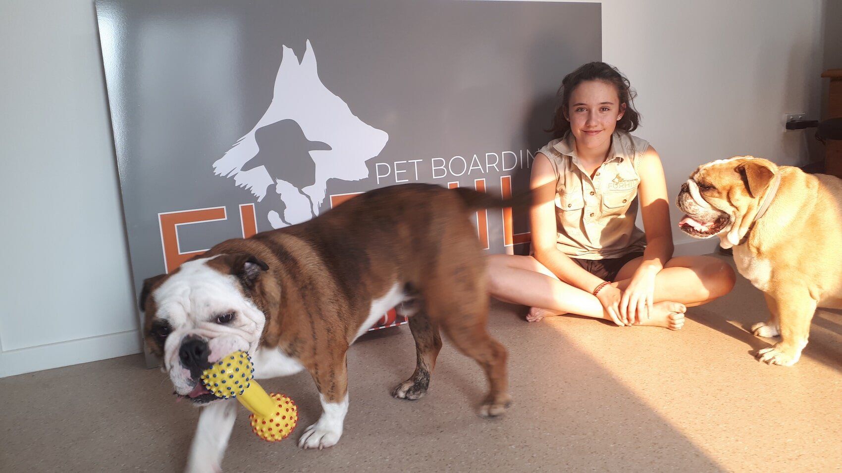 Dog Boarding — Furhill Pet Boarding in East Kempsey, NSW