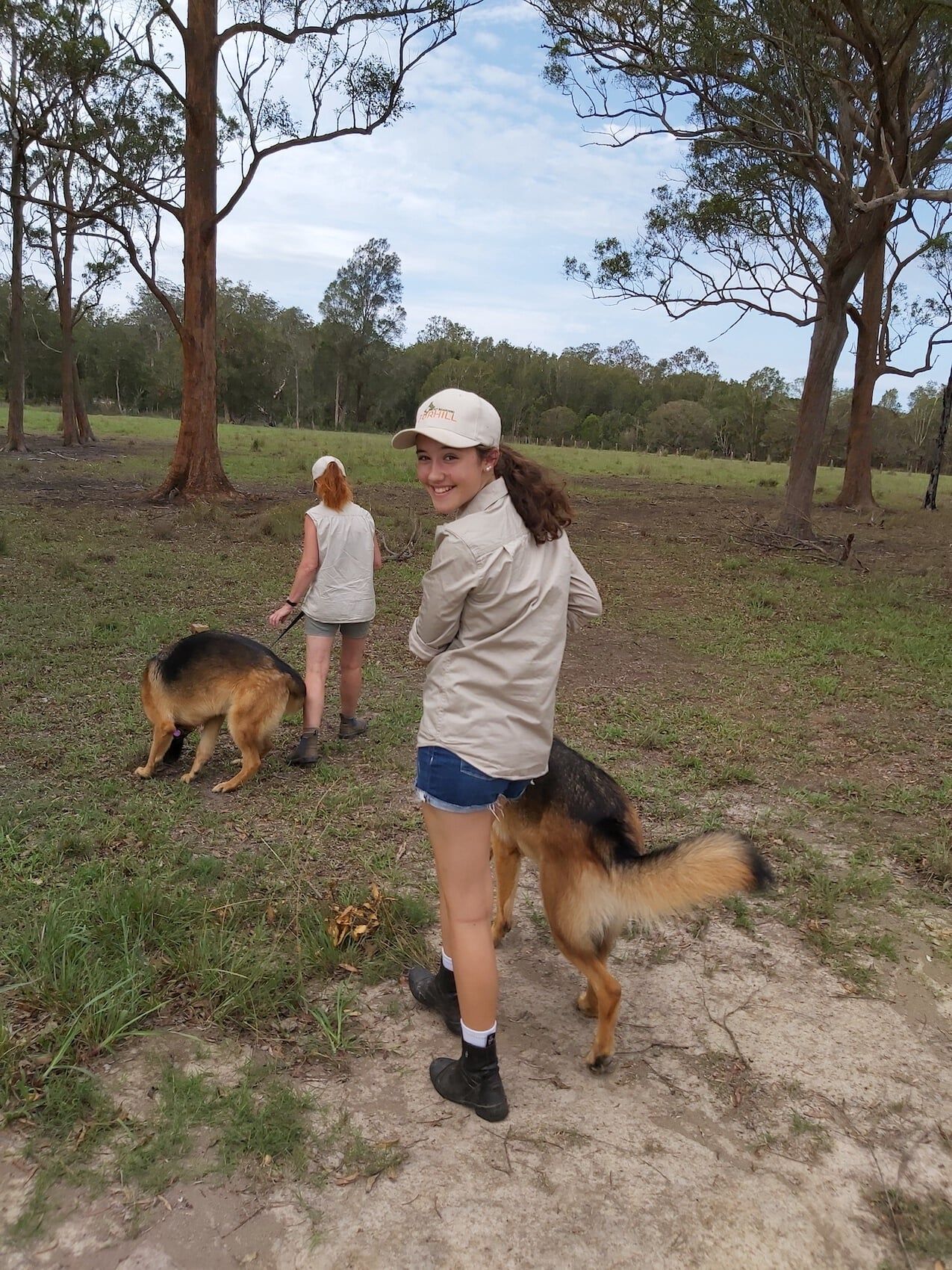 German Shepherds At Yard — Furhill Pet Boarding in East Kempsey, NSW