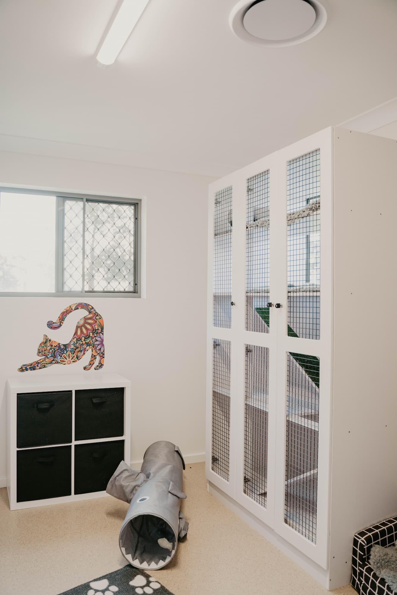 Cosy Cattery Room — Furhill Pet Boarding in East Kempsey, NSW