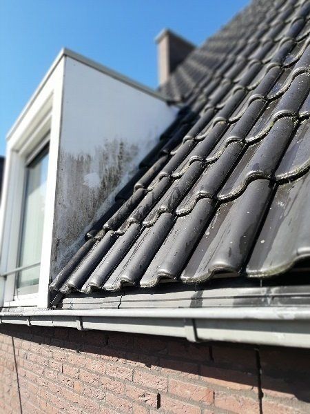 HGS DIENSTVERLENING, PROFESSIONELE, GLASBEWASSING, ZONNEPANELEN, DAKPANNEN, REINIGEN, GEVELREINIGING, GLAZENWASSER, SCHOONMAAK, BOUWSCHOON, OPLEVEREN, SCHOONMAAKDIENSTEN, HOGEDRUKREINIGING, SCHOONMAKER, SCHOONMAAKSTER, SCHOONMAAKKLUSSEN, KLUSSEN, KLUS, SCHOONMAAKONDERHOUD, ONDERHOUD, PROFESSIONEEL, BESTE, REINIGING, BEDRIJF, GLAZEN, WASSER, BEDRIJVEN, HORECA, BEDRIJFSRUIMTE, BEDRIJFS, DIENSTEN, BEDRIJFSPAND, PAND, WONING, WOONHUIS, HUIS, BINNEN, BUITEN, RUIMTE, KANTOOR, PARTICULIEREN, PANDEN, RAMEN, GLAS, HOUTWERK, DAKEN, DAK, PANNEN, ONTMOSSEN, BOTEN, VLOEREN, VLOER, VLOERONDERHOUD, TELEWASCH, TELESCOOP, OSMOSE, WATER, TRESPA, KUNSTSTOF, DAKGOTEN, SCHOORSTEEN, GEVELS, VOEGEN, UITHAKKEN, OPLEVERINGSSCHOONMAAK, ONTRUIMEN, PERIODIEKE, EENMALIGE, REGULIERE, SOLAR, PANEL, PROFESSIONAL, WINDOW, CLEANING, WASHING, COMPANY, BUSINESS, OFFICE, SERVICE, SERVICES, JOB, JOBS, RIJSBERGEN, BREDA, TILBURG, OUDENBOSCH, ROOSENDAAL, BERGEN OP ZOOM, ETTEN-LEUR, BOSSCHENHOOFD, ZUNDERT, OOSTERHOUT, GRAUWE, POLDER, RUCPHEN, SINT, WILLEBRORD, SPRUNDEL, ULVENHOUT, KAATSHEUVEL, DONGEN, GILZE, RIJEN, BAARLE, NASSAU, ZUID, HOLLAND, ZEELAND, NOORD, OOST, ZUID, WEST, BRABANT, NEDERLAND, HGS, DIENSTVERLENING, WWW.HGSDIENSTVERLENING.NL