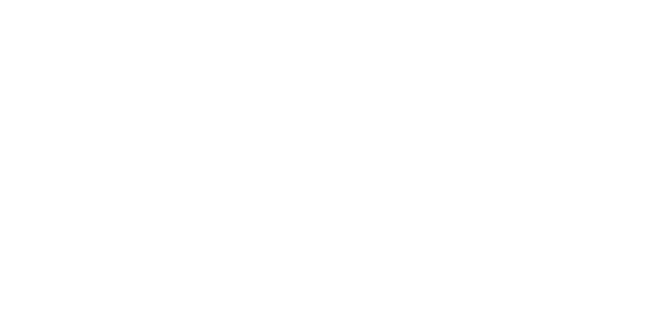 Una mariposa amarilla y negra se posaba sobre un grupo de pequeñas y vibrantes