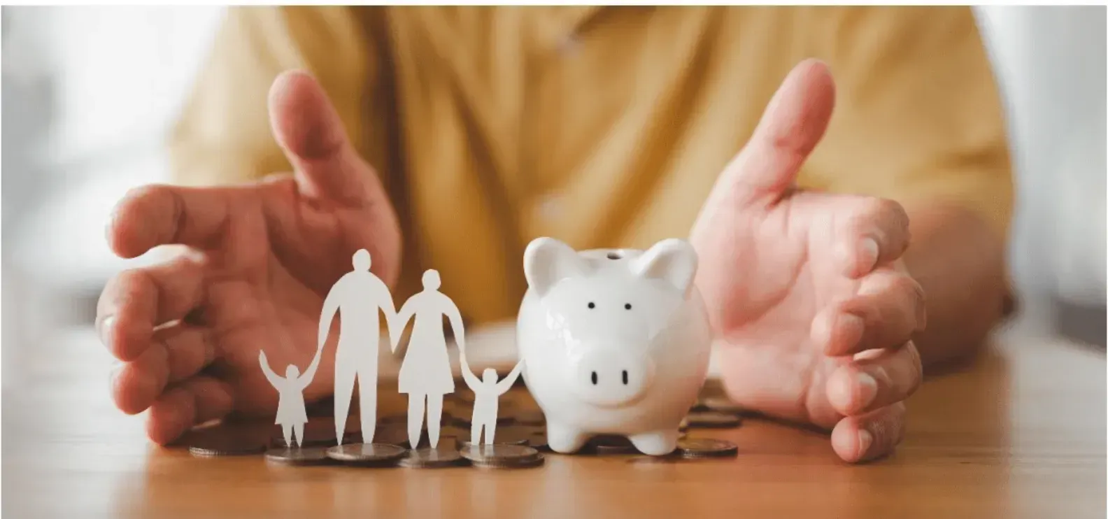 Family Lawyers