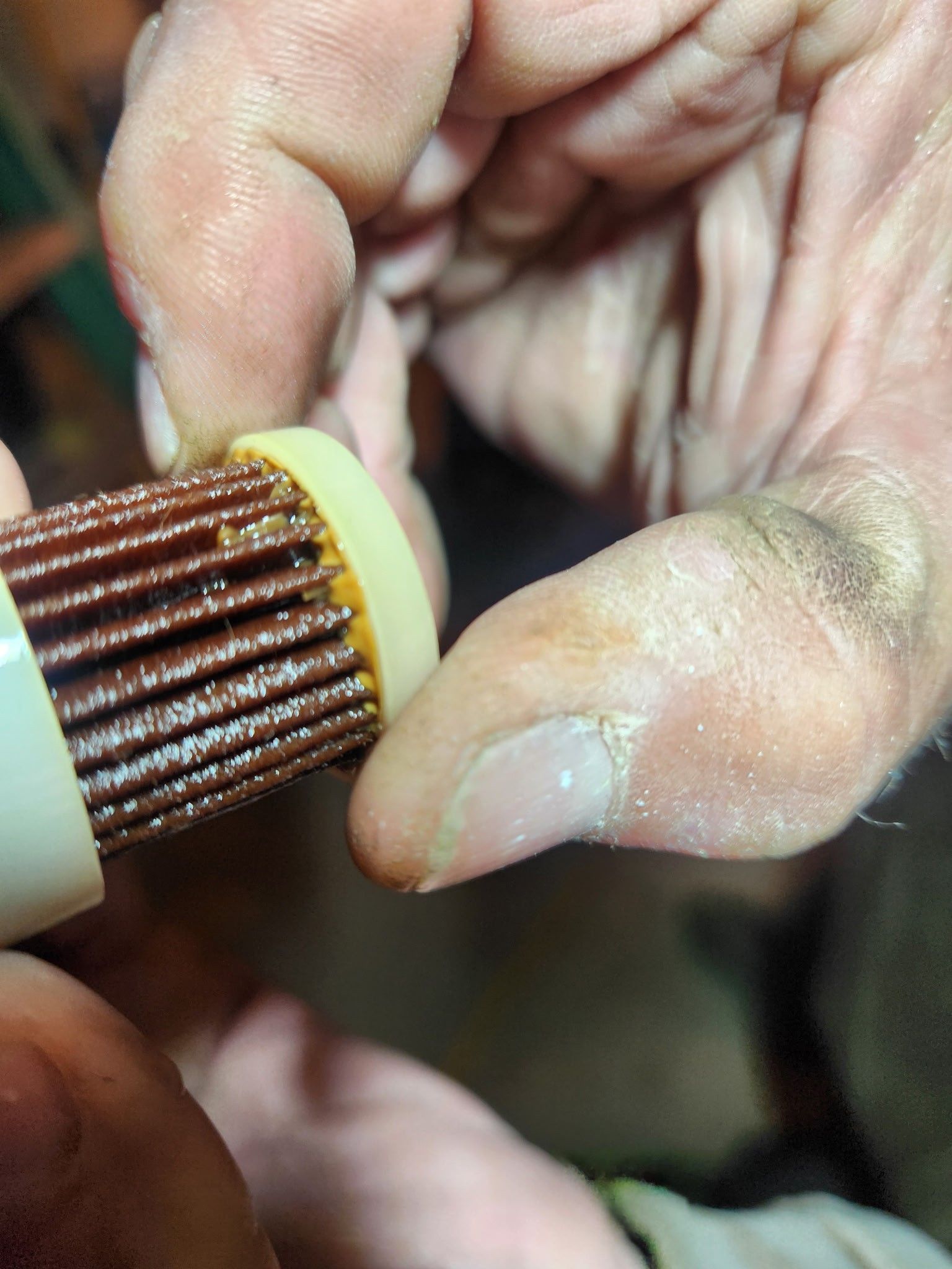 A person's fingers hold a dirty brown and white cylindrical filter, likely for water. The filter is encased in a plastic ring.