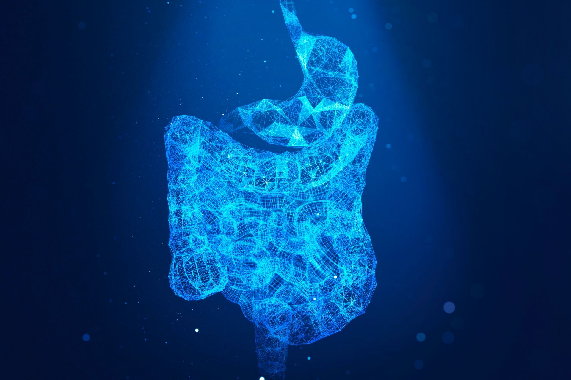 A computer generated image of a stomach and intestines on a blue background.