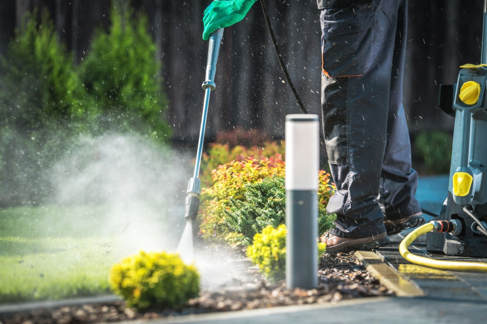 Person power washing a garden path and edging with a pressure washer; green plants and bushes are in the background.