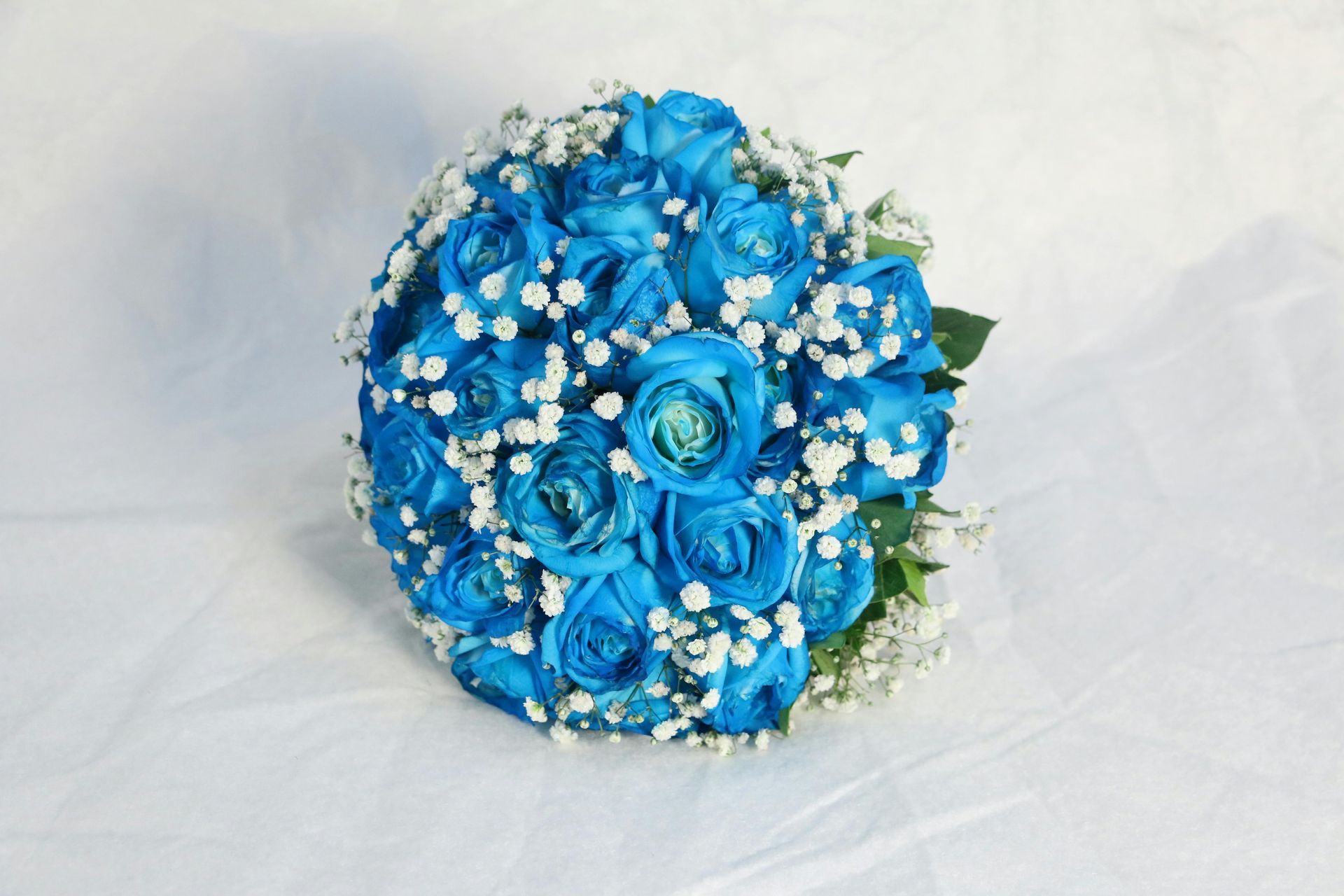 Flowers - Florentina