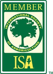 ISA Member Arborist Charlottesville VA