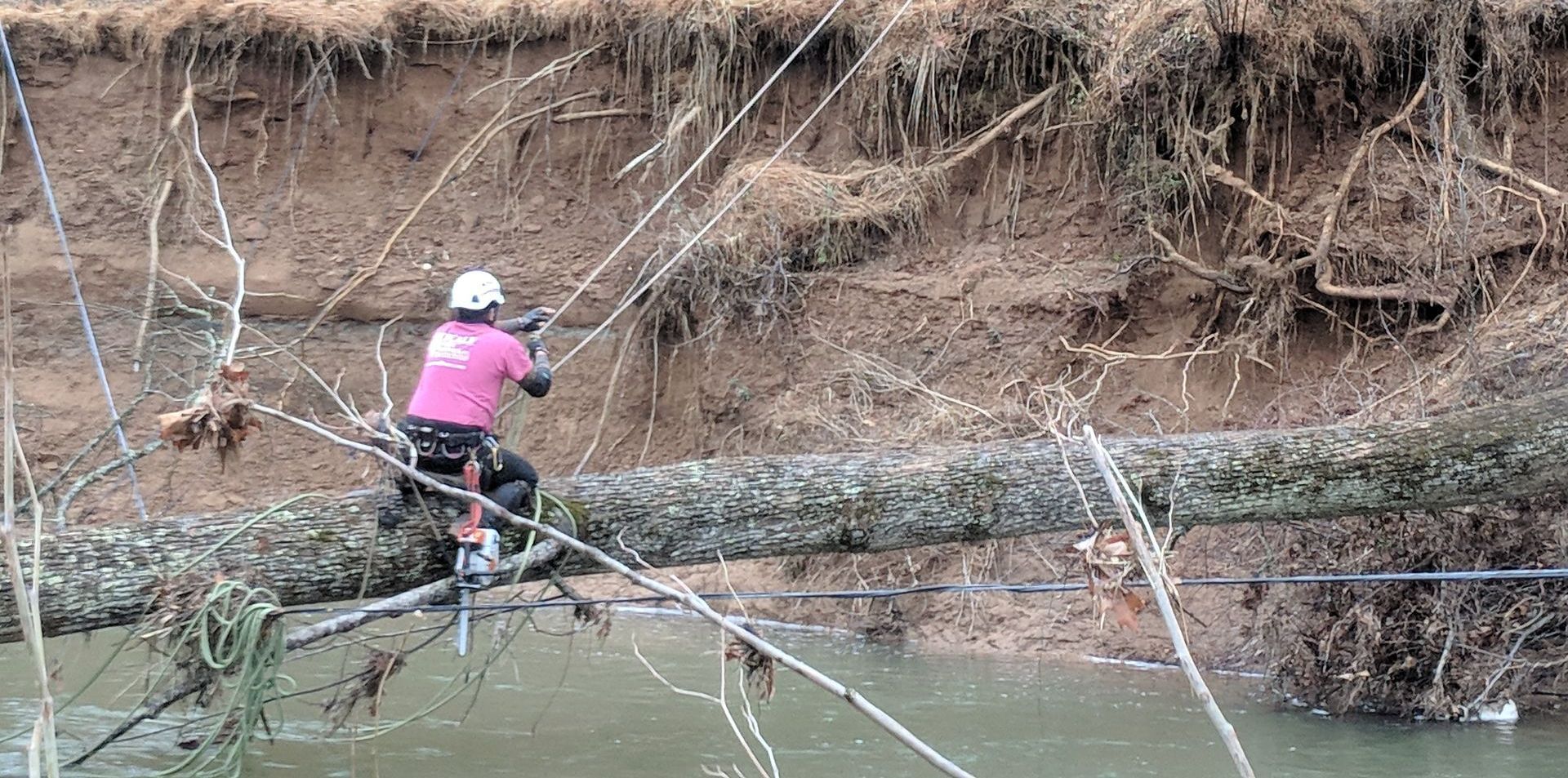 A tree expert is performing emergency tree work on a log over a river.