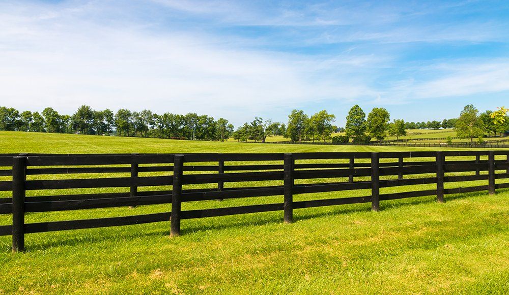Horse Farm Fence — Pascagoula, MS — Gulf Coast Fence Co.