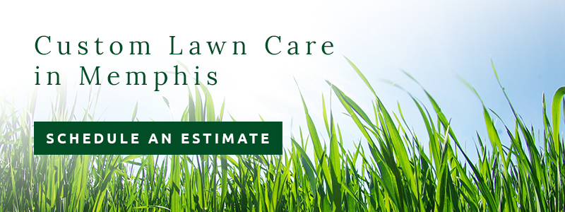 Lush green grass with text overlay 