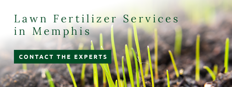 Lawn fertilizer services in Memphis, with fresh grass growing in soil, and a button 