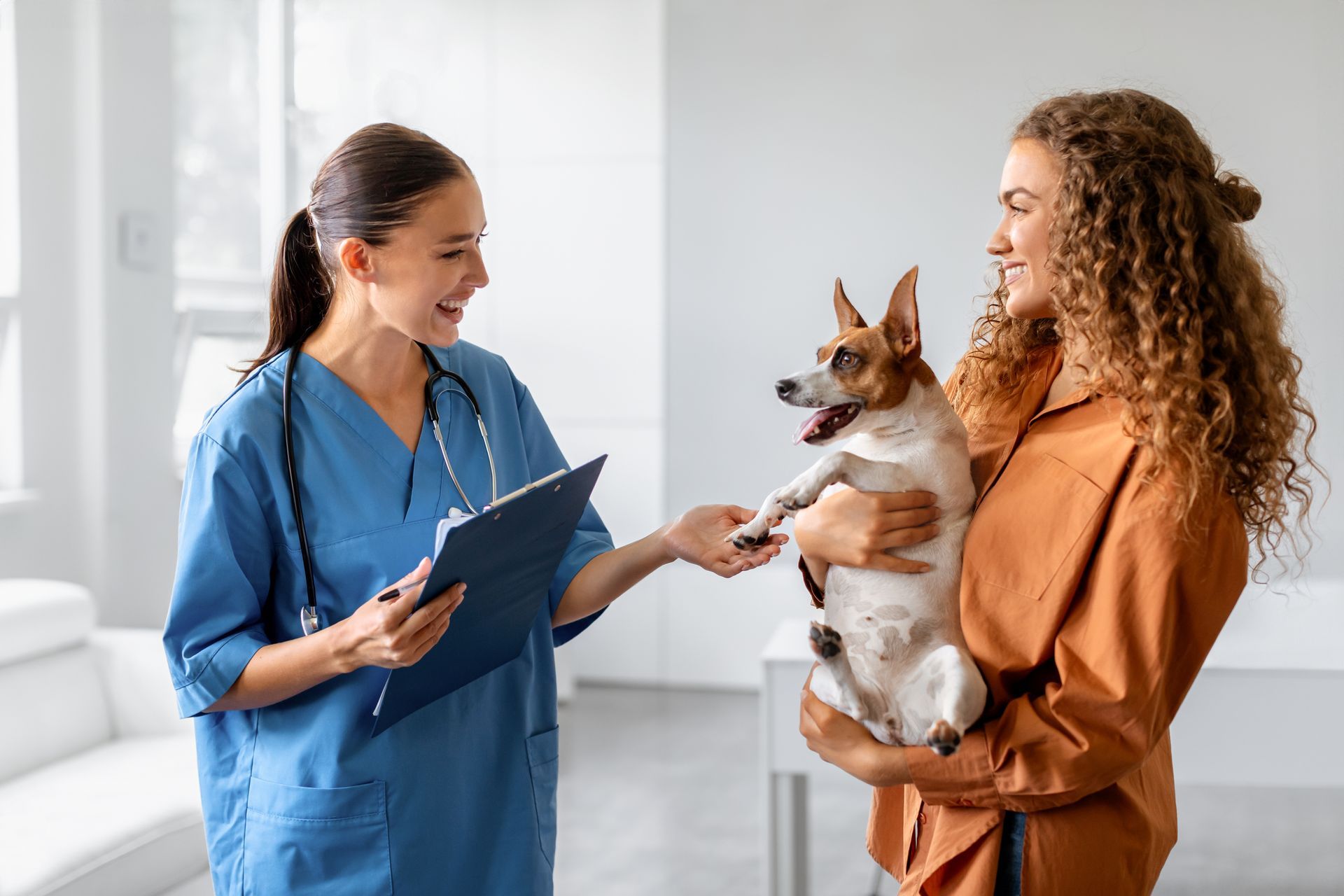 Veterinarian in blue scrubs talking with a woman holding a small dog in a bright clinic Veterinarian in blue scrubs talking with a woman holding a small dog in a bright clinic