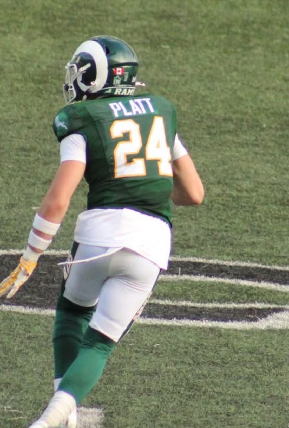 Football player in green uniform, number 24, on a green field.