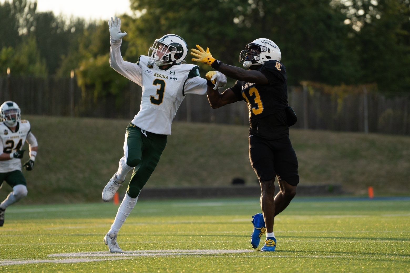 Football players in action, one reaching to catch the ball. Green and black uniforms. On a green field.