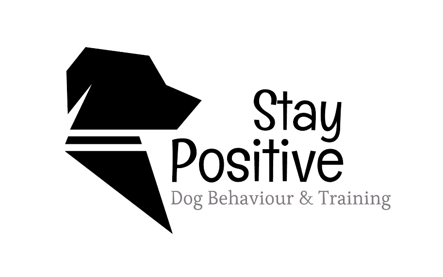 Stay Positive - Dog behaviour and Training
