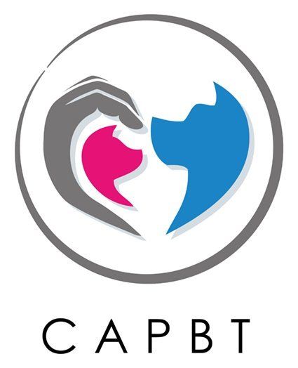 CAPBT registered behaviourist