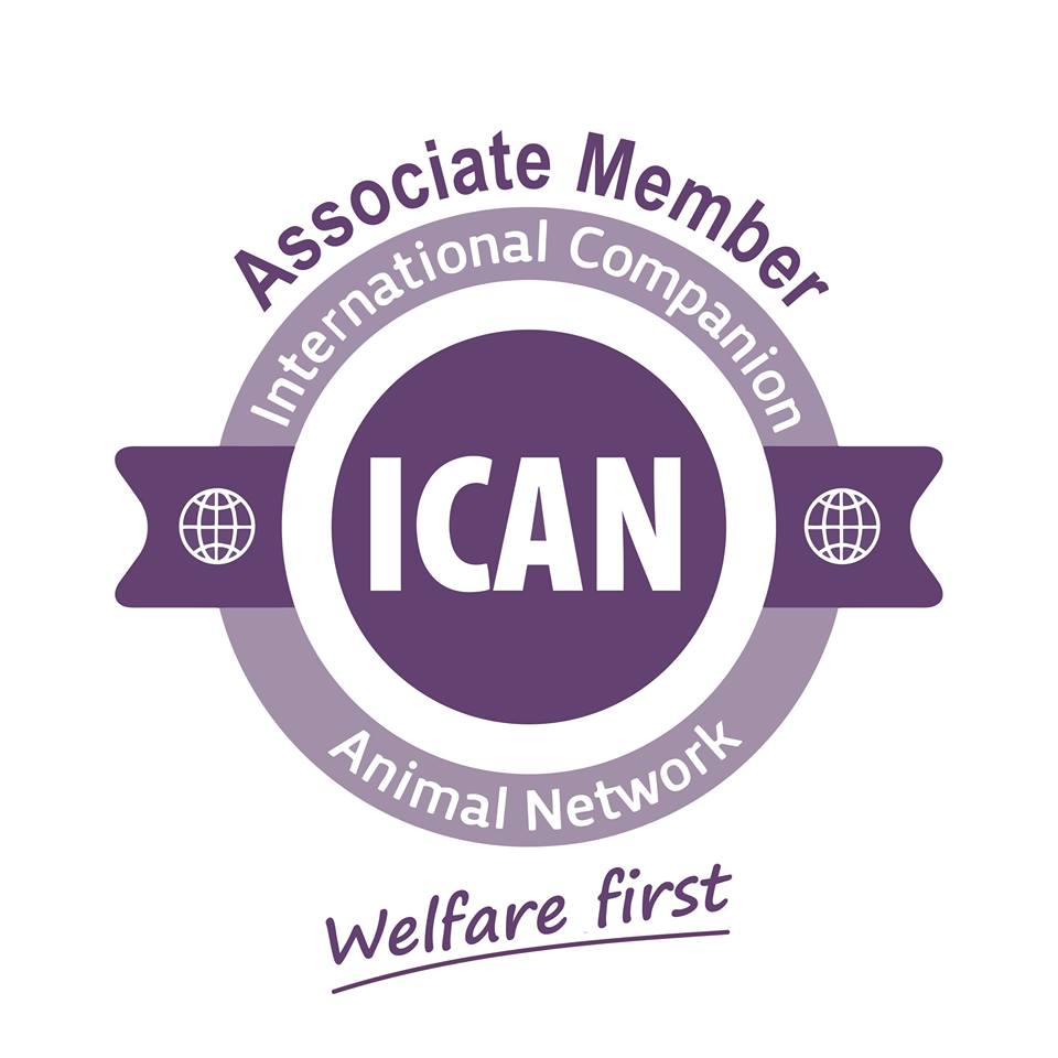 ICAn