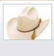 Quarter Horse - cowboy's hat in Albuquerque, NM