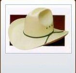 Quarterhorse - cowboy's hat in Albuquerque, NM