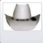 PBR Bullrider - cowboy's hat in Albuquerque, NM