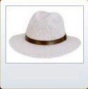 Seagrass Safari 2 - cowboy's hat in Albuquerque, NM