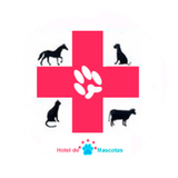veterinariarequinoa-logo