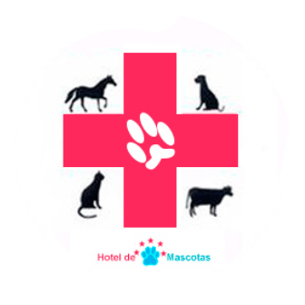veterinariarequinoa-logo