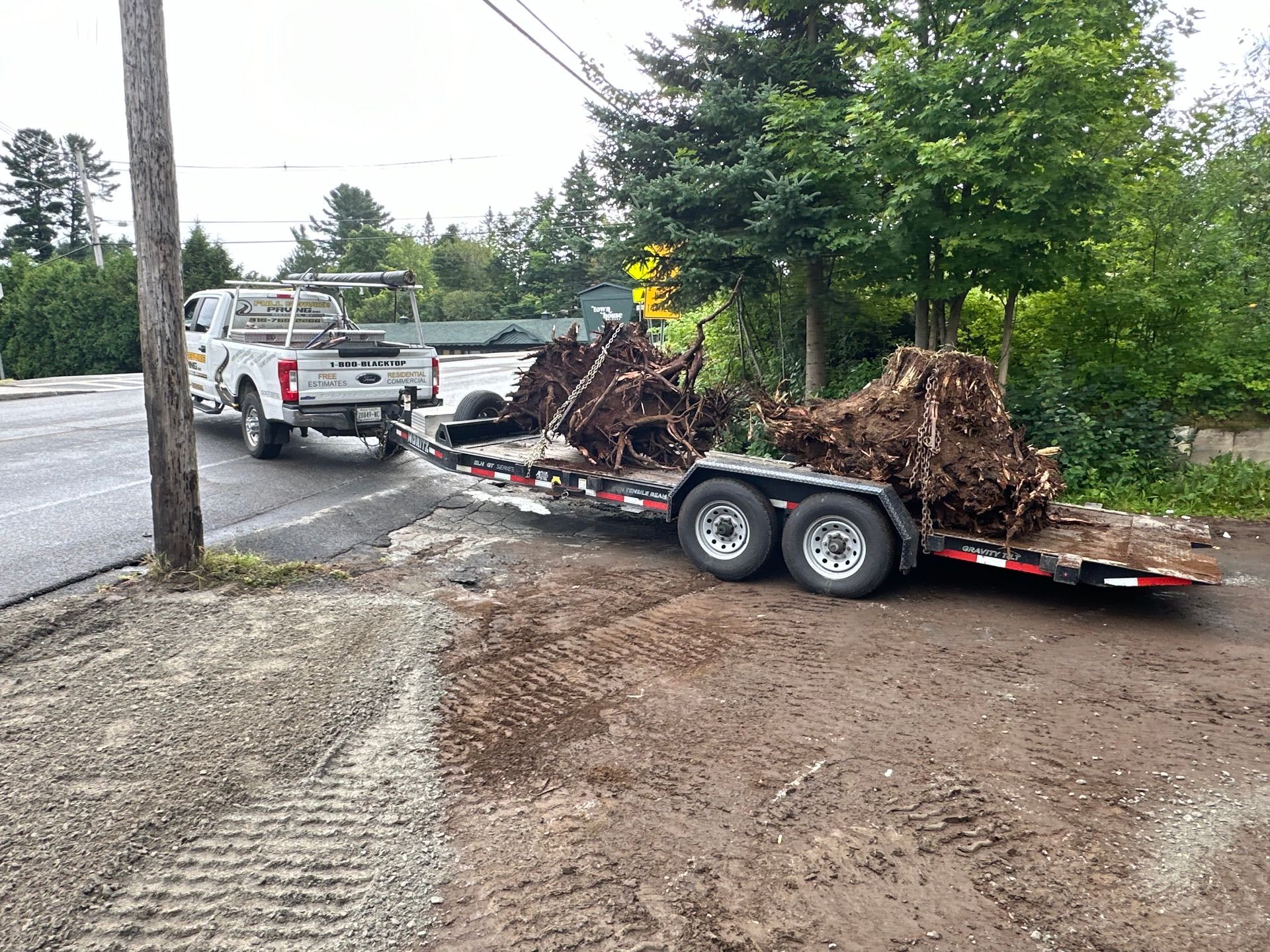 A truck is towing a trailer with roots on it.