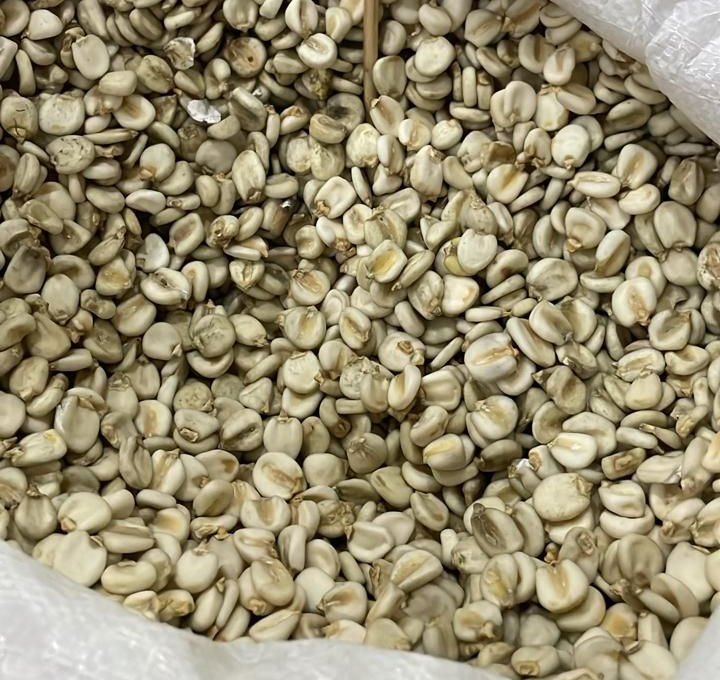 Bolsa de granos de maíz secos, en su mayoría blancos con un tono marrón claro.