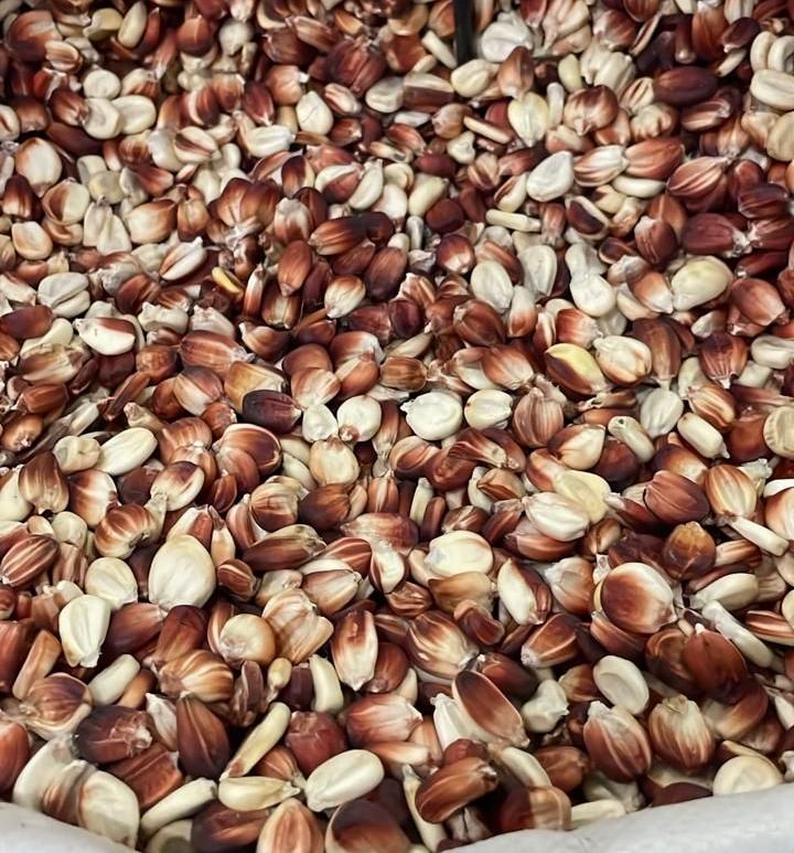 Primer plano de una pila de granos mixtos de color marrón y beige.