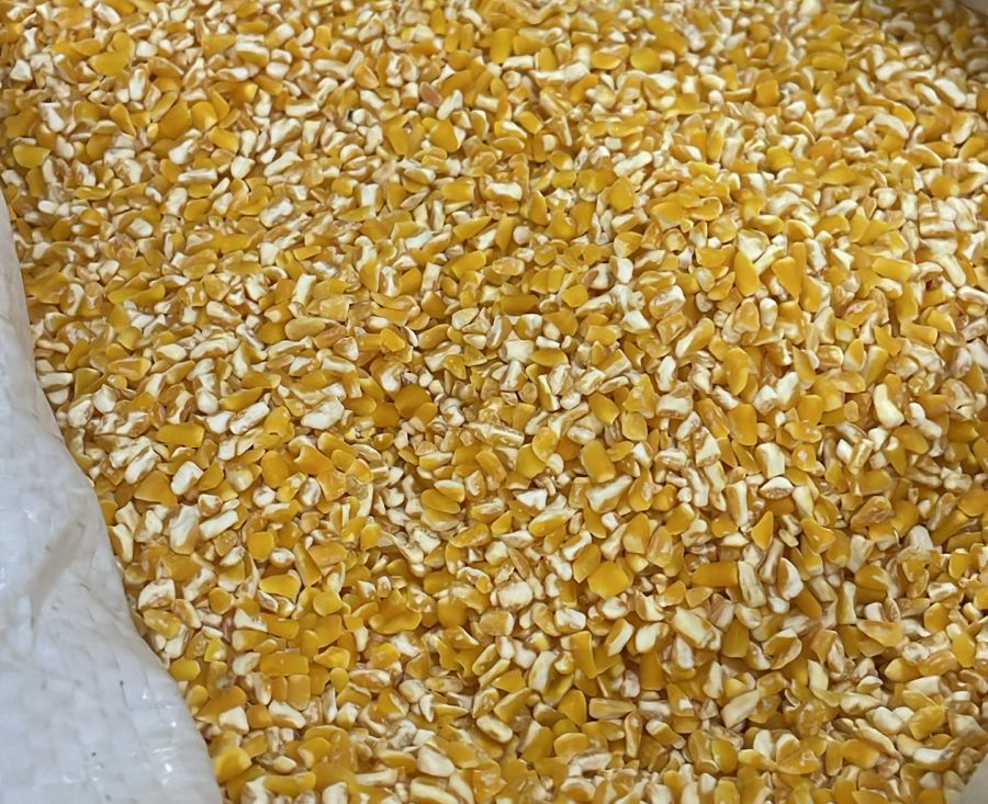 Granos de maíz amarillos y blancos partidos llenando una bolsa blanca.