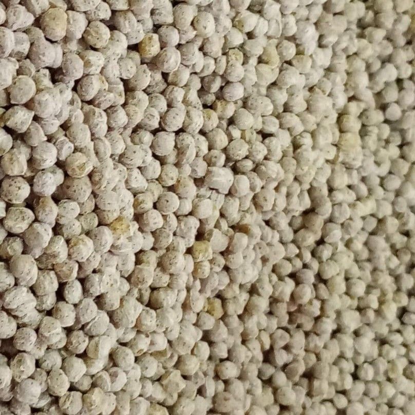 Un primer plano de una pila de frijoles blancos.