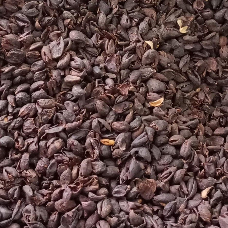 Un primer plano de una pila de granos de café.