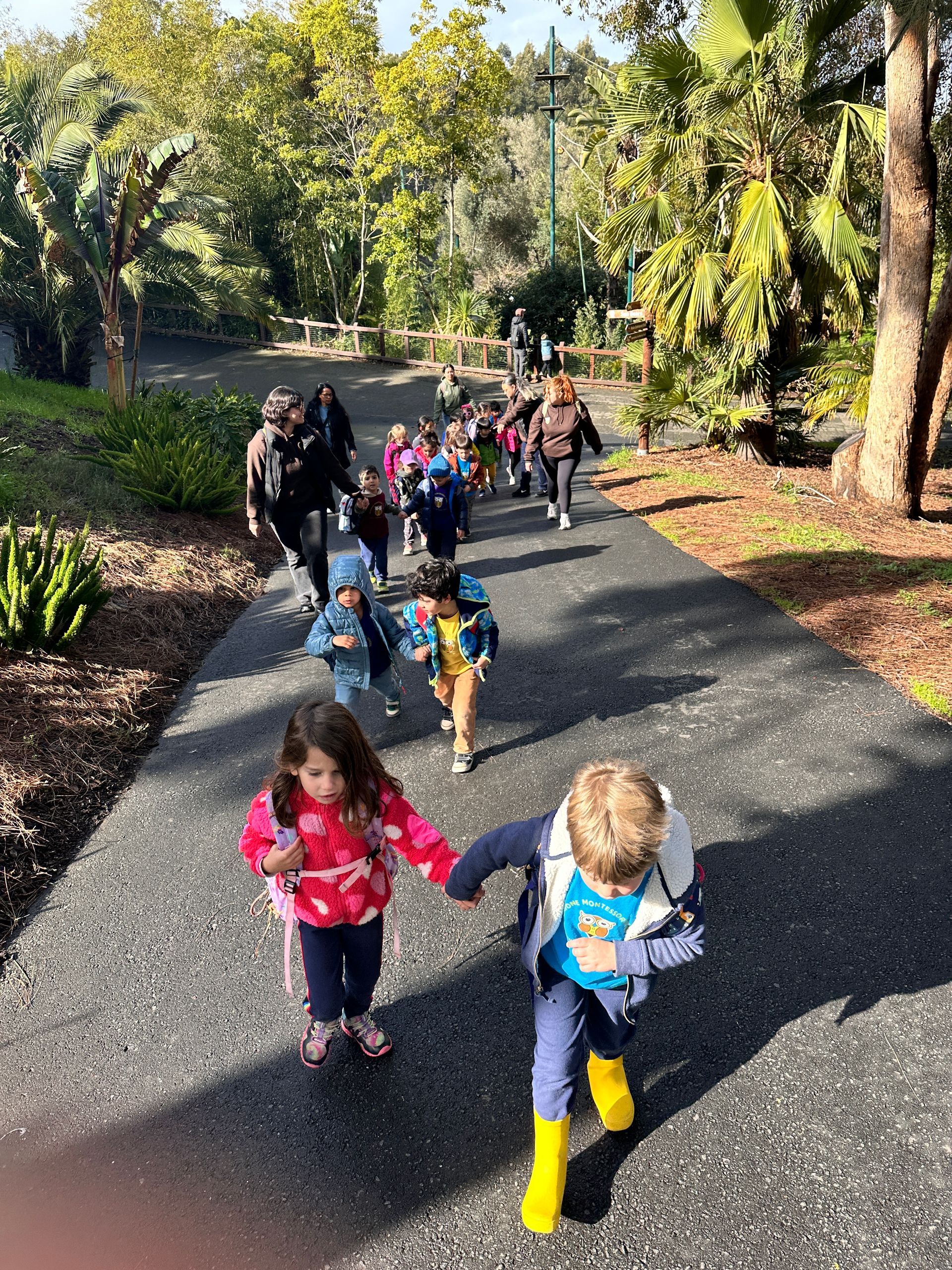 A group of Montessori child arriving at the Oakland Zoo