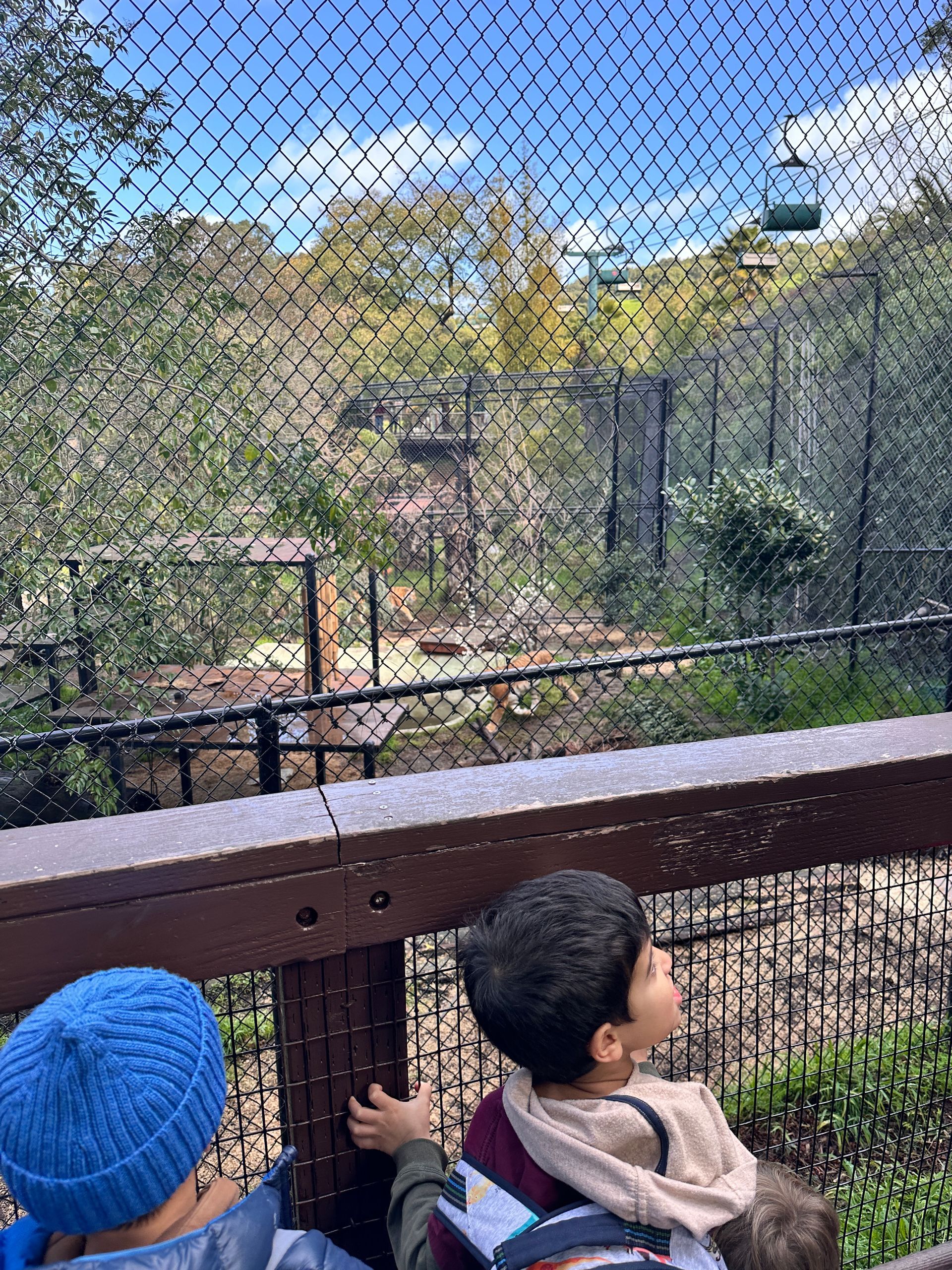 A group of Montessori child at the Oakland Zoo
