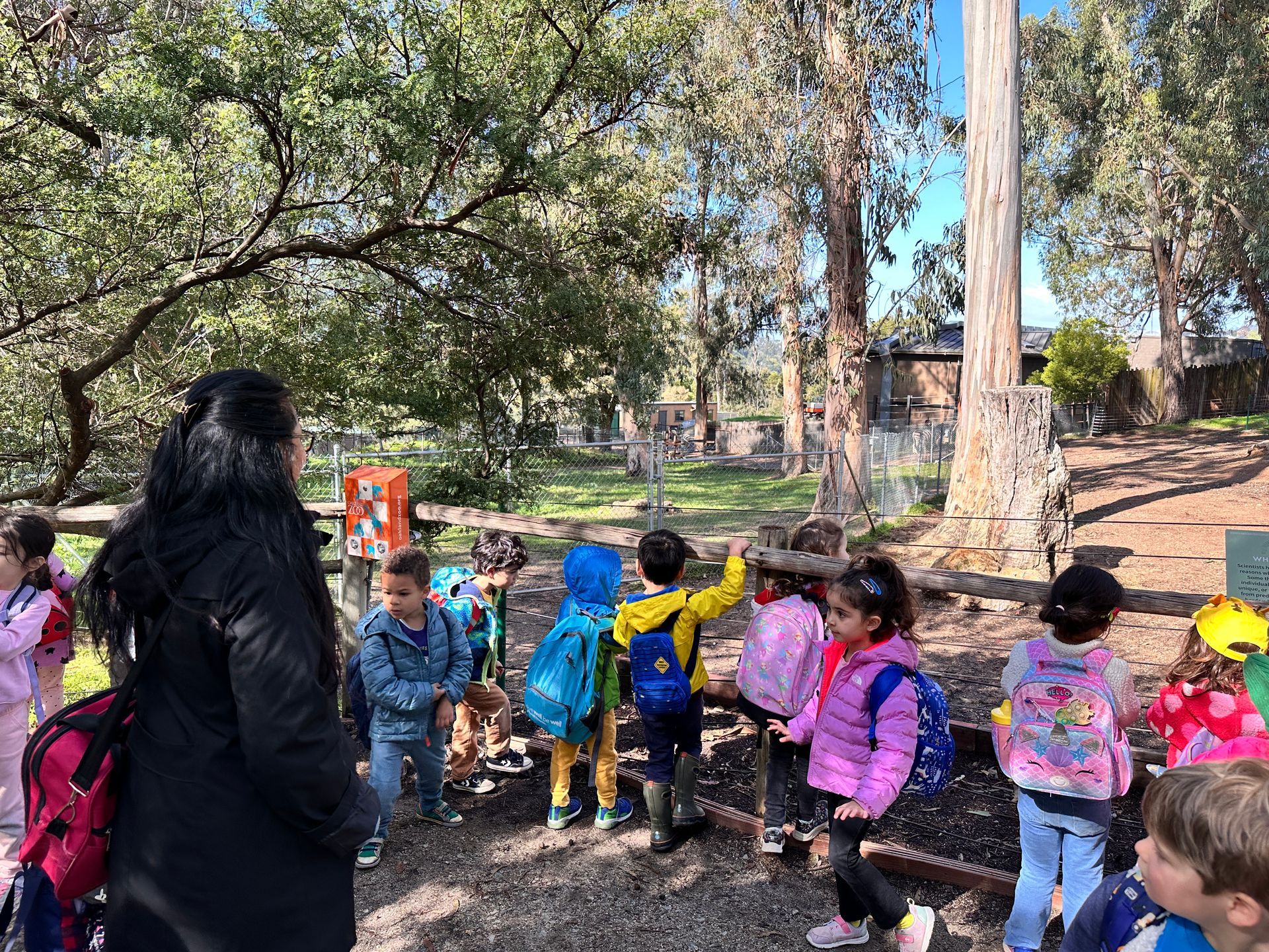 A group of Montessori child watching the animals at the Oakland Zoo