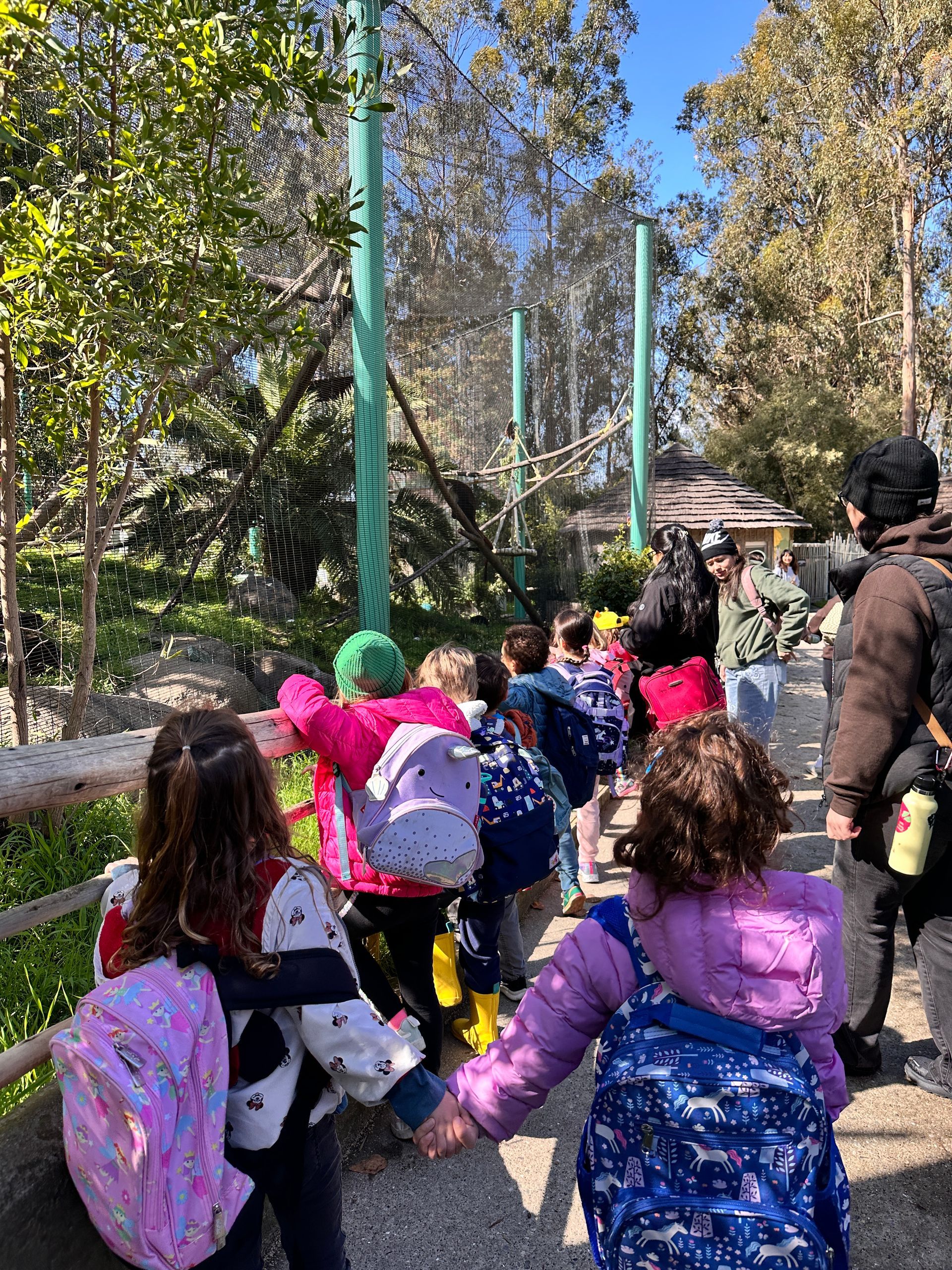 A group of Montessori child watching the animals at the Oakland Zoo