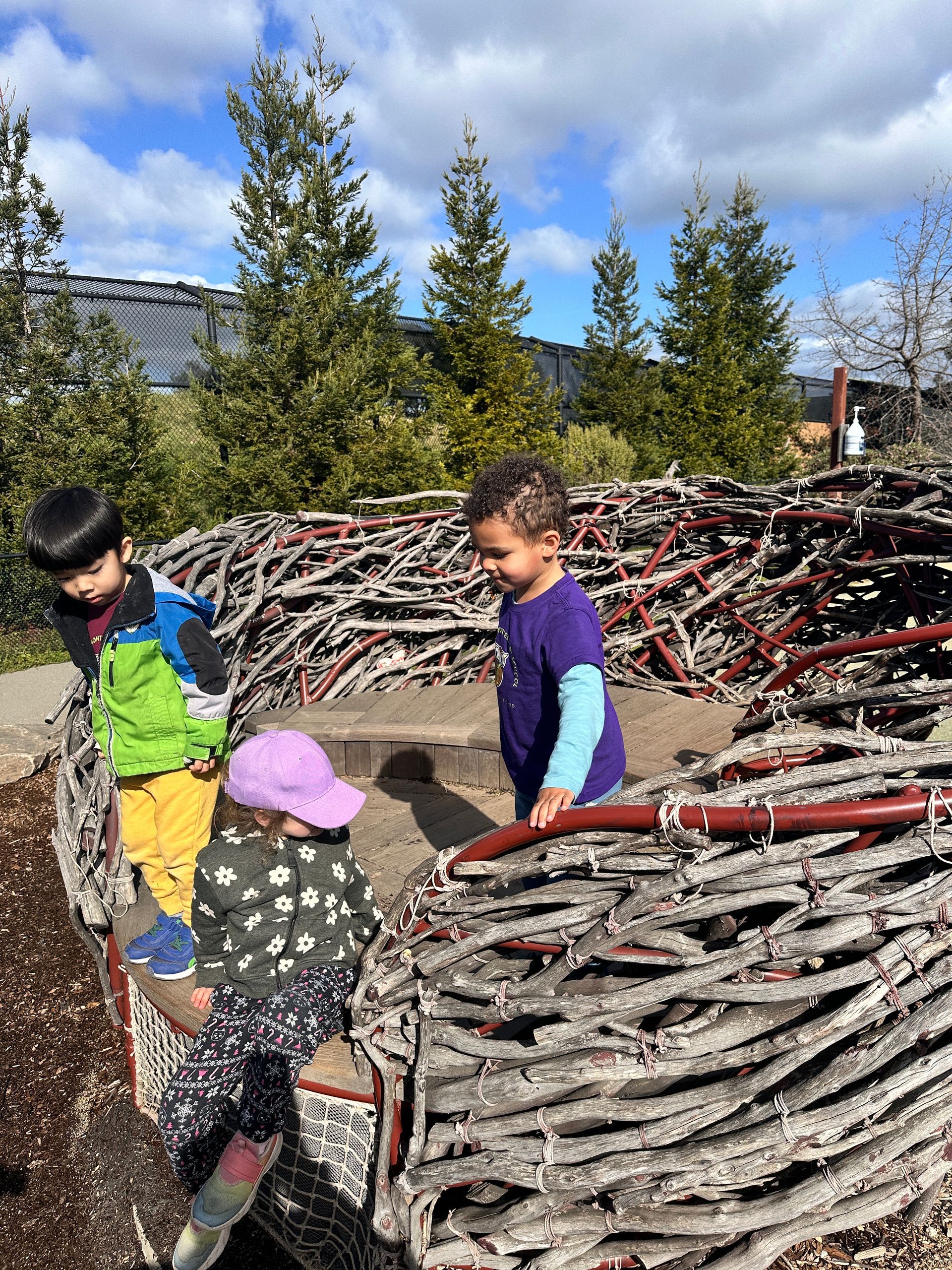 A group of Montessori child learning at the Oakland Zoo