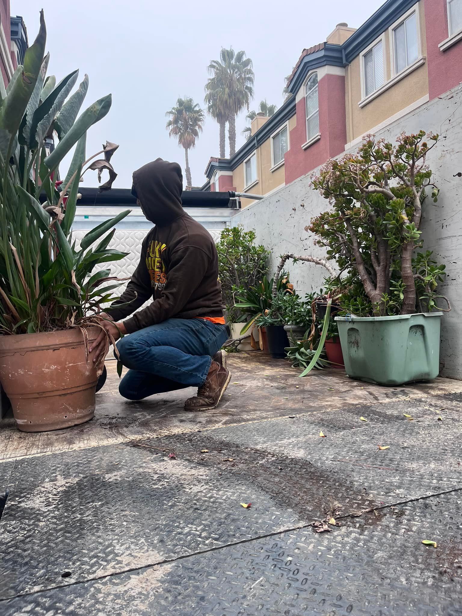 Person tending to plants on a rooftop; wearing a hoodie, and jeans; buildings and palm trees in background.
