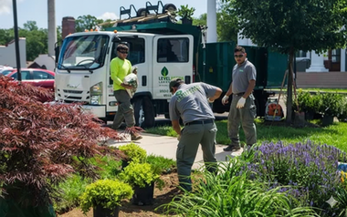 Landscapers planting flowers from pots near a truck. Green and purple plants, sunny day.