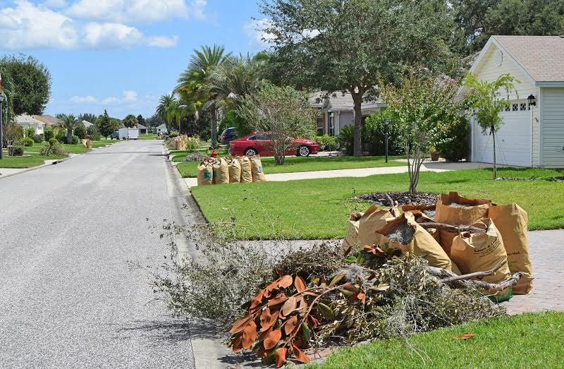 Bags of yard waste and branches on a suburban street curb under a sunny blue sky.