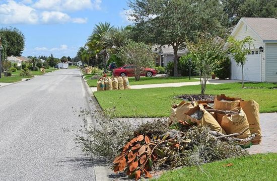 Bags of yard waste and branches on a suburban street curb under a sunny blue sky.