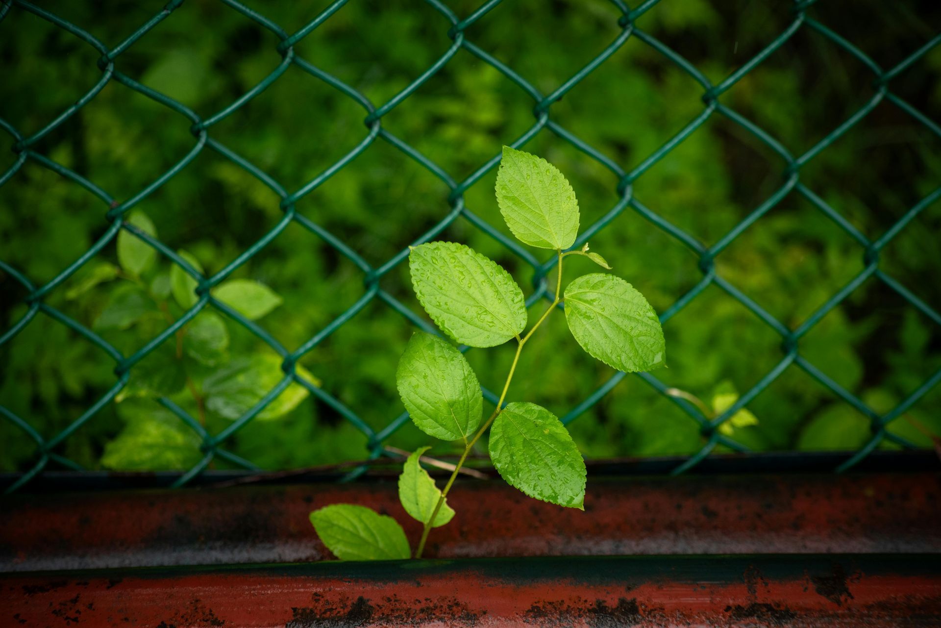 Sand dunes with curved lines and shadows in shades of brown and tan.